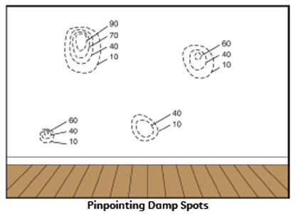 Pinpointing Damp Spots