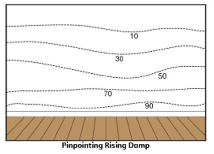 Pinpointing Rising Damp