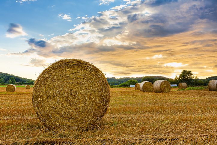 Grain & Hay Moisture Meters | Protecting the Harvest